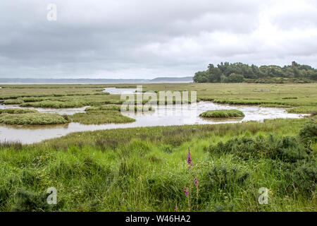 Arne RSPB reserve located overlooking the estuary of Poole Harbour, Dorset, England, UK Stock Photo