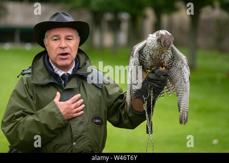 Andy Hughes, a Falconer demonstrates and explains the different hunting methods used by owls, hawks and falcons at Dunrobin Castle, Scotland. Stock Photo