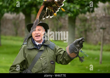 Andy Hughes, a Falconer demonstrates and explains the different hunting methods used by owls, hawks and falcons at Dunrobin Castle, Scotland. Stock Photo