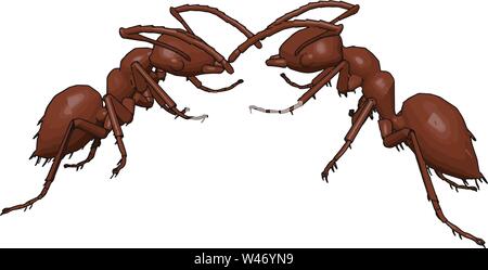 Two ants fighting, illustration, vector on white background. Stock Vector