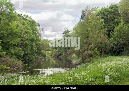 KENT; WEST MALLING; EWELL STREAM LAKE; MANOR PARK COUNTRY ESTATE Stock Photo