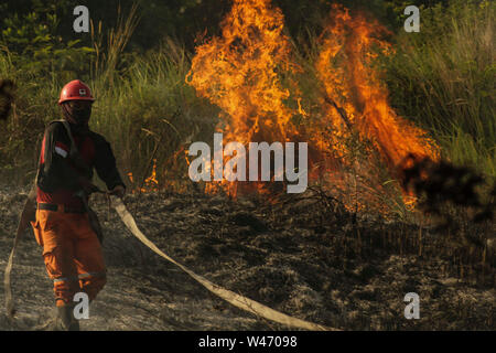 Riau, Indonesia. 20th July, 2019. An Indonesian firefighter tries to extinguish peatland fire at Payung Sekaki, Pekanbaru, Riau, Indonesia, July 20, 2019. A joint team from local firefighters, police and military officers tried to extinguish forest fire several days ago. Credit: Hadly Vavaldi/Xinhua/Alamy Live News Stock Photo