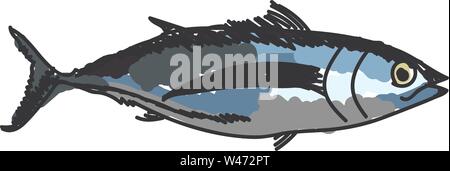 Albacore fish, illustration, vector on white background. Stock Vector
