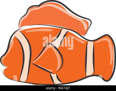 Clown fish, illustration, vector on white background. Stock Vector