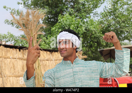 Indian farmer holding bundle of wheat and smiling Stock Photo