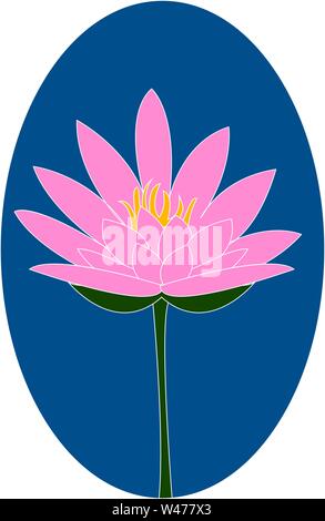Pink lotus, illustration, vector on white background. Stock Vector