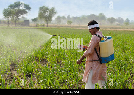 Indian farmer spraying pesticide on crop Stock Photo - Alamy