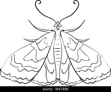 Isolated silhouette of a moth sketch Vector Stock Vector Image & Art ...