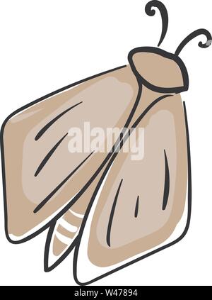 Moth, illustration, vector on white background. Stock Vector