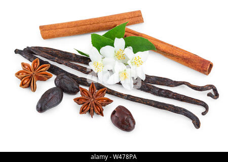 Vanilla and cinnamon sticks with cocoa bean and star anise isolated on white background. Stock Photo