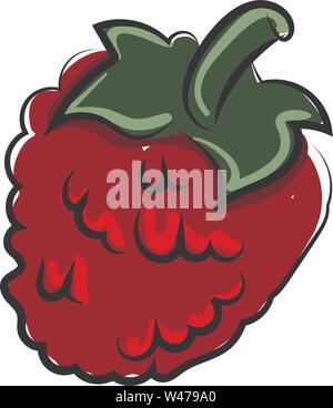 Red raspberries, illustration, vector on white background. Stock Vector