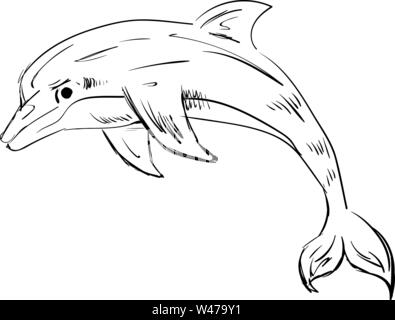 Dolphin drawing, illustration, vector on white background. Stock Vector
