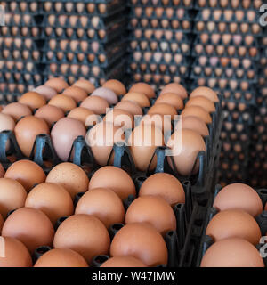 Stacks of brown eggs in the shop closeup Stock Photo