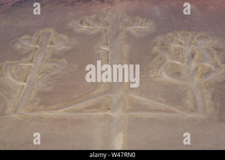 Paracas Candelabra Geoglyph in Southern Peru Stock Photo