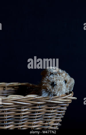 Old plush dog toy lying down in wicker basket Stock Photo