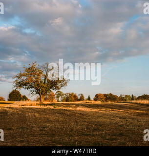 Analogue Photography - Landscape Stock Photo