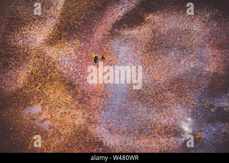 Metal Corrosion Rusty Oxidized Old Texture Surface. Grunge Rusted Iron Abstract Background. Stock Photo