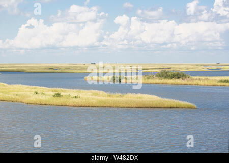 Louisiana Marshland at the Gulf of Mexico Stock Photo