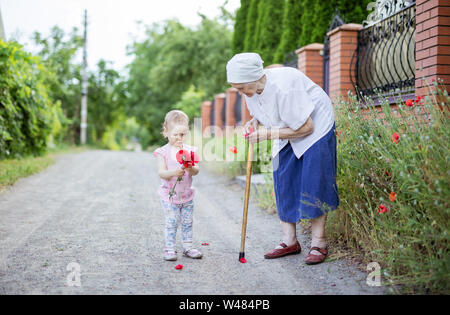 Great grandmother and toddler girl picking flowers outdoors in countryside Stock Photo