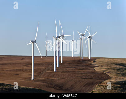 Electric generating wind turbines operating in freshly cultivated wheat field, early morning  light. Stock Photo