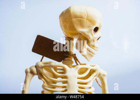 Model of artificial  Human Skeleton on gray background Stock Photo
