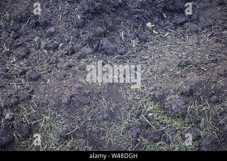 Texture of black fertile soil Stock Photo