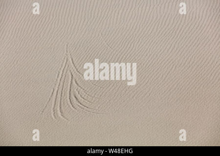 Pattern in sand dune South Africa Stock Photo