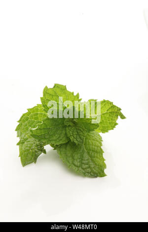 Close up of mint leaves Stock Photo