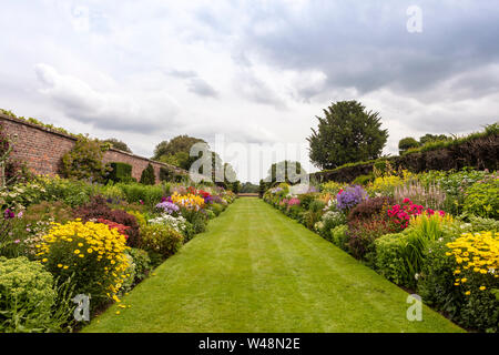 Double herbaceous borders with profusion of flowering perennial plants in the height of summer. Stock Photo