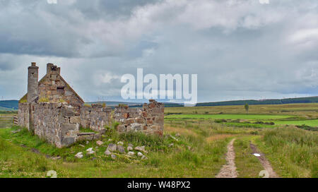 DAVA WAY TRAIL MORAY SCOTLAND SUMMER BOGENY AND THE STONE WALLS OF THE ABANDONED RUIN OF A FARMHOUSE Stock Photo