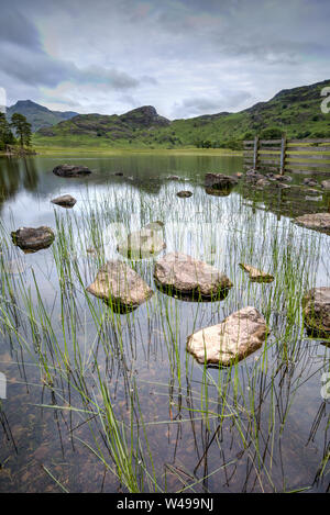Blea Tarn Lake District looking towards the Langdale Pikes Stock Photo