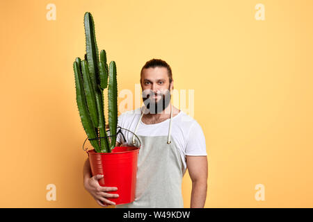 pleasant good looking strong muscular man holding a flowerpot and posing to the camera. close up portrait. copy space. isolated yellow background Stock Photo