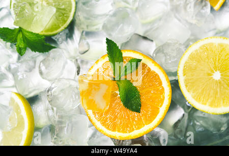 Fresh citrus fruits with mint on ice cubes Stock Photo