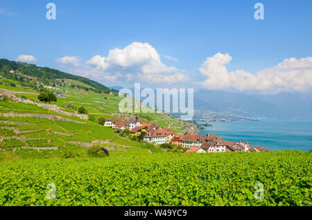 Stunning view of picturesque village Rivaz in Lavaux wine region, Switzerland. Green terraced vineyards on the slopes by turquoise Lake Geneva. Swiss landscape. Beautiful nature. Stock Photo