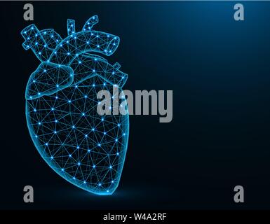 Heart with aorta and veins low poly model, human organs abstract graphics, anatomy polygonal wireframe vector illustration on dark blue background Stock Vector