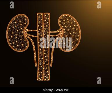 Kidneys with artery and veins low poly model, human organs abstract graphics, anatomy polygonal wireframe vector illustration on dark yellow backgroun Stock Vector