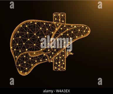 Liver with artery and veins low poly model, human organs abstract graphics, anatomy polygonal wireframe vector illustration on dark yellow background Stock Vector