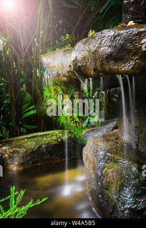 a small waterfall in the forest and jungle, hidden among the plants, darkness and little sun. shooting with long exposure, green background of plants Stock Photo