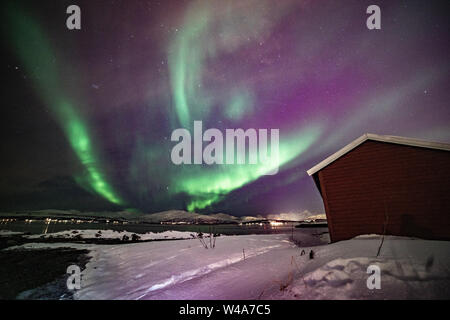 Aurora Borealis, wunderschöne Nordlichter in Norwegen, Tromsö, Sudspissen Stock Photo