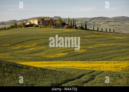 Traditional agriturismo villa in the valley of Val d'Orcia in Tuscany at sunrise. Pienza, Italy. Stock Photo