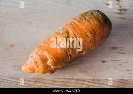 concept of ugly carrot on a wooden background Stock Photo