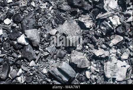 Coal and ash from a fire in the forest background. Stock Photo
