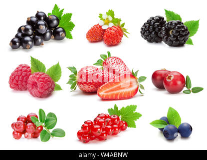 Set of various wild and garden berries, isolated on the white background. Stock Photo