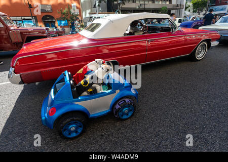 Glendale, USA. 21st July, 2019. Two dogs are seen during the 26th Glendale Cruise Night in Glendale City, California, the United States, July 20, 2019. The 26th Glendale Cruise Night was held in downtown Glendale on Saturday, attracting lots of classic car lovers. Credit: Qian Weizhong/Xinhua/Alamy Live News Stock Photo