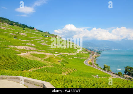 Amazing terraced vineyards on slopes by Geneva Lake in Switzerland. Lavaux wine region. Swiss landscape. Switzerland summer. Green vineyard. UNESCO Heritage. Tourist places. Stock Photo