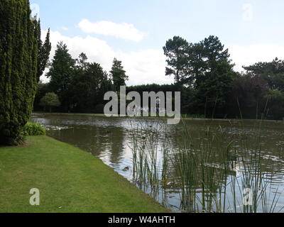 A group of visitors is given a conducted tour round the waterlily lakes at Burnby Hall Gardens; reflections in the water amongst the lily pads. Stock Photo