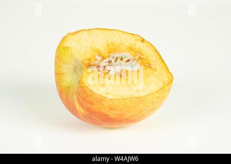 rotten apple on white in top view. Apple biting rotten bruise. Stock Photo