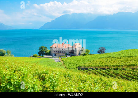Magnificent vineyards on slopes by Geneva Lake in Lavaux wine region, Switzerland. UNESCO Heritage. Swiss summer. Switzerland landscape. Terraced vineyard. Turquoise lake. Stock Photo