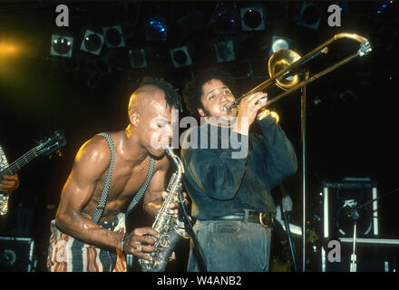 LOS ANGELES, CA - SEPTEMBER 15: Fishbone perform in concert at various venues Circa 1991 in Los Angeles, California. Stock Photo