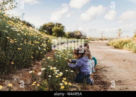 Little children playing in a flower field with blue sky behind them Stock Photo